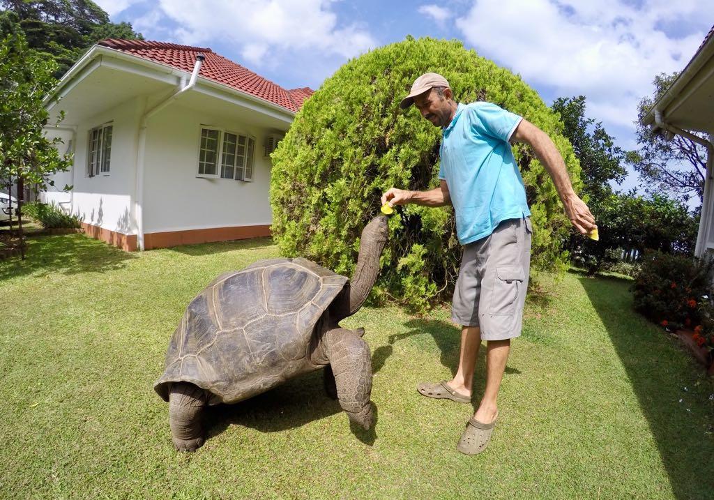 Ixora Villa Anse Royale Zewnętrze zdjęcie
