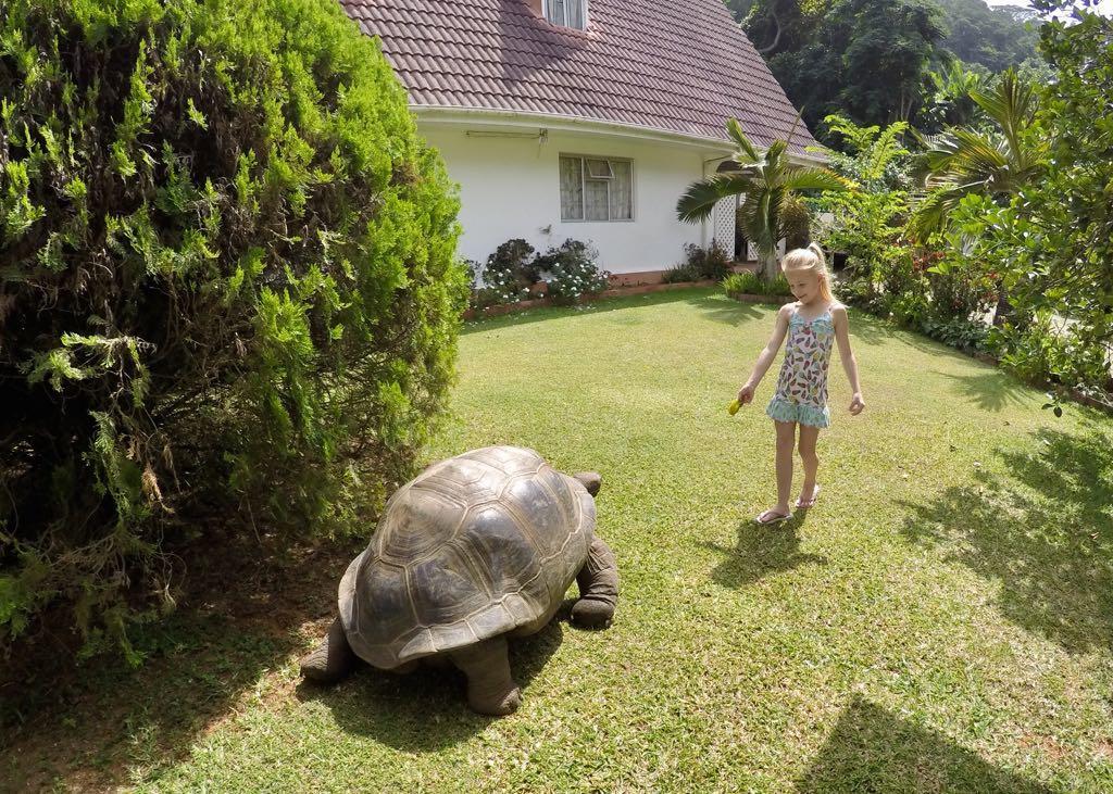 Ixora Villa Anse Royale Zewnętrze zdjęcie